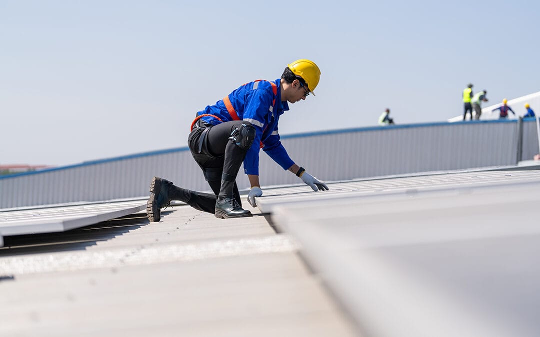 Roof survey and inspection
