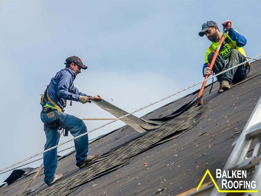 Professional Roofer